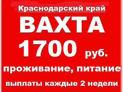 Авито вакансии работы майкоп. Работа в Майкопе свежие вакансии. Подработка с 14 лет Майкоп. Авито Майкоп вакансии. Авито Майкоп работа.