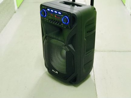 Портативная колонка Eltronic El 106