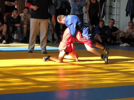 Мма, Бокс, Боевое самбо, Грепплинг, Фитнес