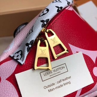 Сумка Louis Vuitton