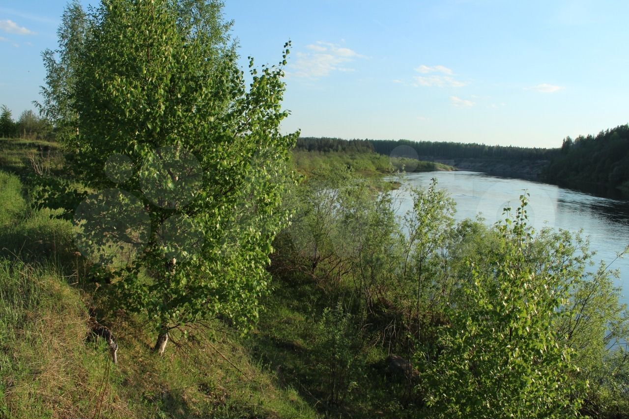 Вельск участок. Земельный участок Вельск. Нестюковская Вельский район. Архангельская область д.Нестюковская. Зем участки в Вельске Архангельской.