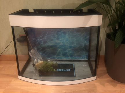 Аквариум