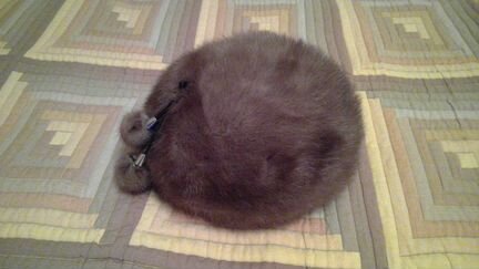 Шапка меховая Берет с помпонами, норка, новый