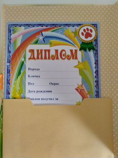 Учусь ухаживать за котенком, книга