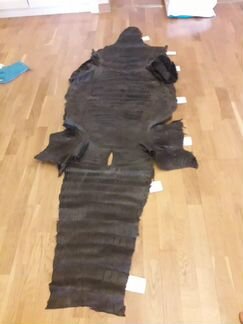 Шкура большого крокодила