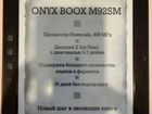 Электронная книга Onyx boox M92SM