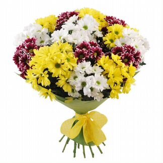 Хризантемы