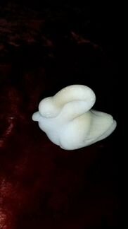 2 Фигурки из Мрамора