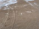 Песчаный карьер с речным песком объявление продам