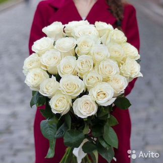 101 Роза, Букеты Цветы Розы 31 51 75 301 Доставка