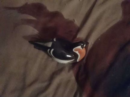 Фарфоровая статуэтка СССР краснозобая казарка