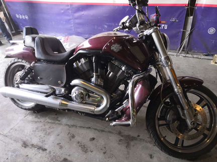 Harley-davidson v-rod Muscle 2013 г