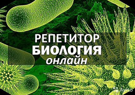 Репетитор по биологии, химии, Семейное обучение