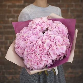 Гортензия букет из Гортензий