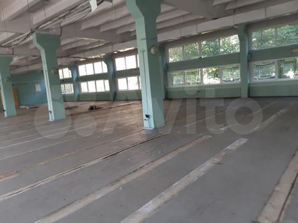 Помещение свободного назначения, 2425 м²