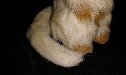 Продам скунса (интерьерное), новое