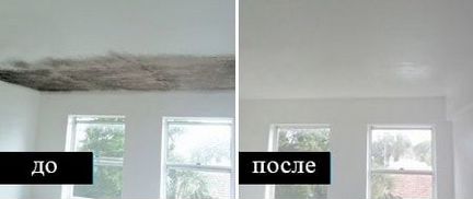 Удаление плесени