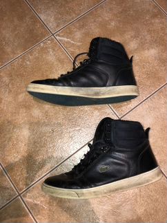 Высокие болинки Lacoste