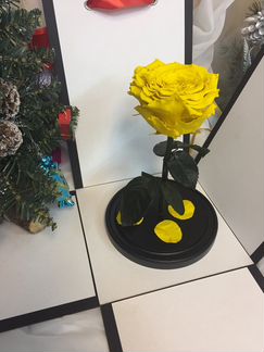 Роза в колбе оптовые закупки