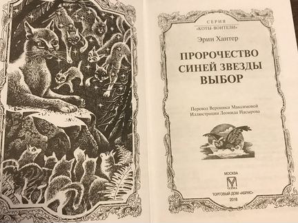 Коты-воители. Пророчество синей звёзды «выбор»