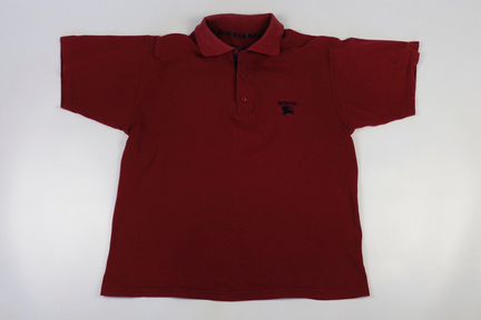Оригинальное поло Burberry